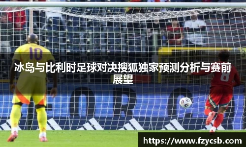 冰岛与比利时足球对决搜狐独家预测分析与赛前展望